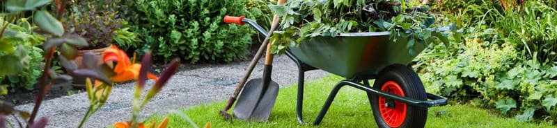 allojardin entretien paysage