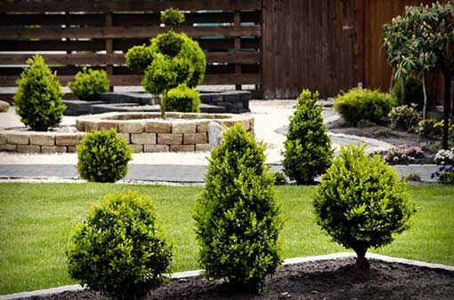 amenagement jardin allojardin 1