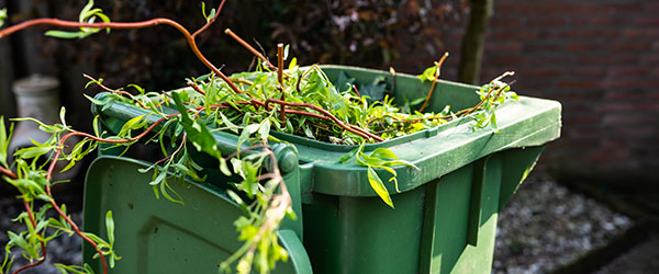 branches poubelles enlevement