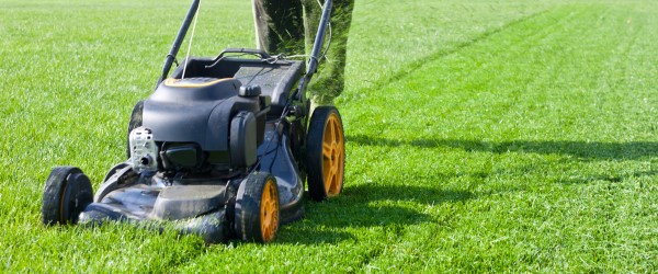 cesu entretenir jardin