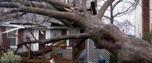 chute arbre sur maison