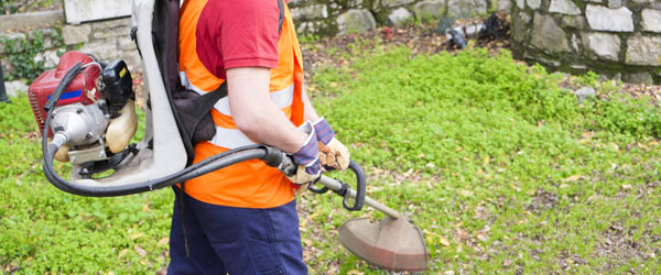 debroussaillage entretien jardin