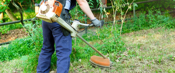 debroussaillage jardinier