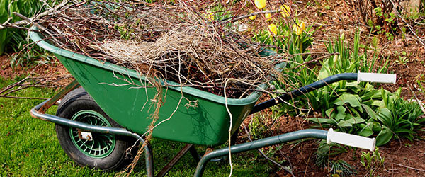 dechets verts au jardin