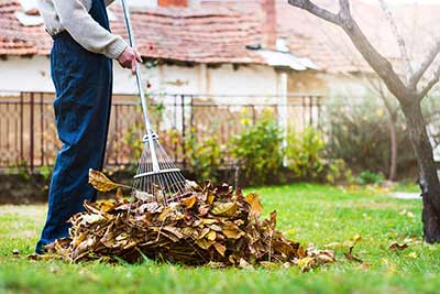 feuilles entretien jardin et parcs