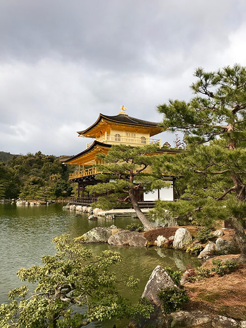 Jardin Japonais Comment Faire Un Jardin Zen Arbuste