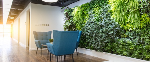 mur vegetal interieur