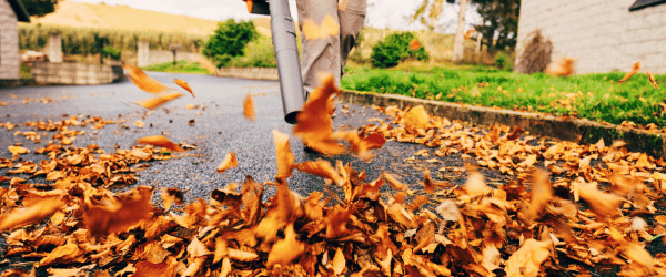 ramassage feuilles mortes prix