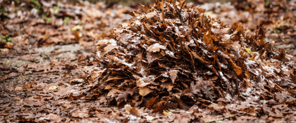 ramasser feuilles mortes prix