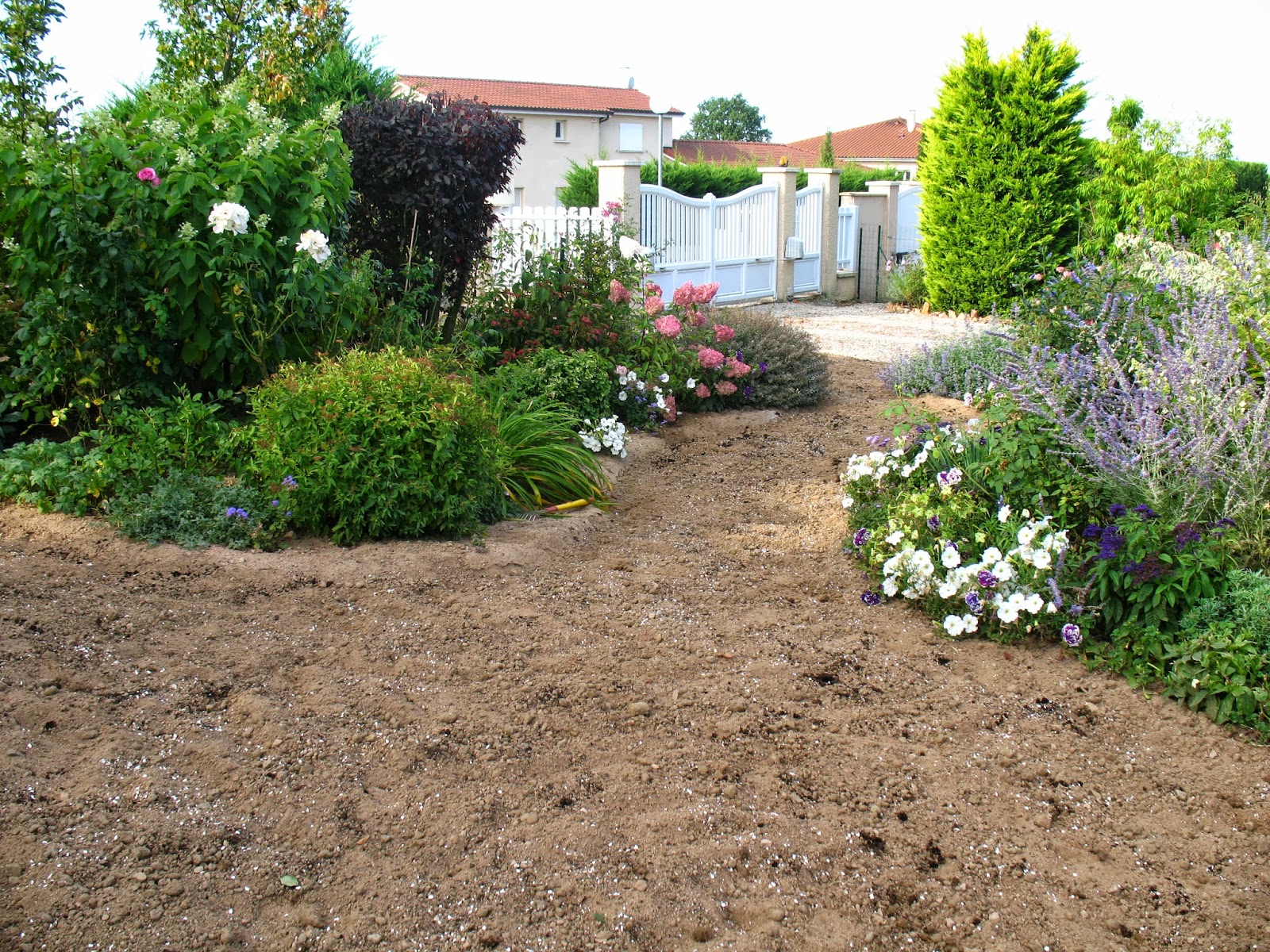 planter une pelouse en avril