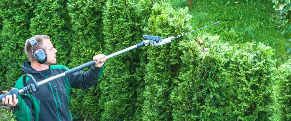 Cutting a hedge