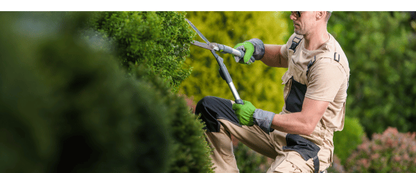trouver jardinier